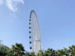 -凤岭儿童公园