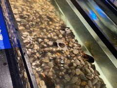 -海吃海喝海鲜烤肉炭火主题自助餐(朝阳店)