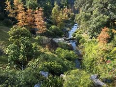 -云溪植物园