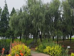 -洋湖国家湿地公园