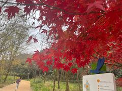 -西湖风景区-江洋畈生态公园