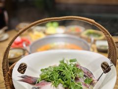 -老凯俚酸汤鱼(东山店)