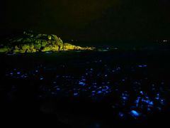 -东极岛景区-青浜岛