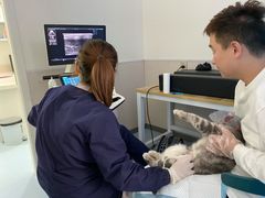 -佳怡动物医院·平价24小时·猫专科骨外科