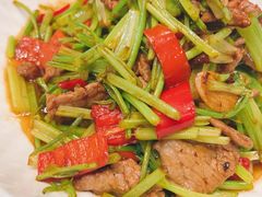 -同济大酒店(绿宝广场店)