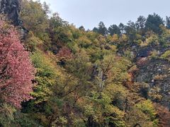 -茅兰沟国家森林公园