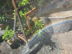 -樹下遇见树·咖啡