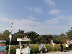 -玫瑰海岸文化旅游度假区