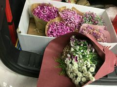 -双季花艺园艺市场(浦东店)