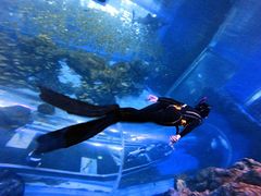 -成都浩海立方海洋公园