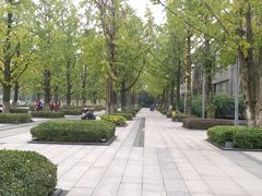 -百林公园-两江幸福广场