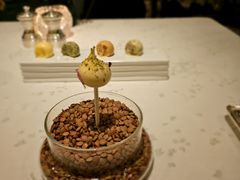 鸭肝慕斯棒棒糖-王府半岛酒店·Jing餐厅