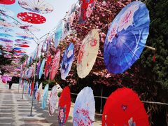 -石岛赤山风景区