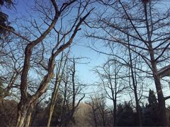 iphone_upload_pic-八大关景区