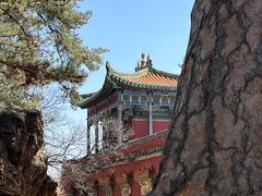 -普陀宗乘之庙