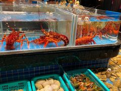-青蓬蒸汽海鲜·深圳老字号·团建聚会(壹方城店)