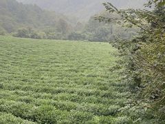 -敬亭山风景名胜区