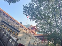 -深圳仙湖植物园