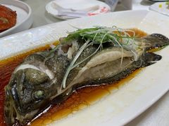 豉油清蒸石斑鱼-新龙船黄浦江餐饮游船官方自营店