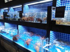 水产区-徐记海鲜(大明宫|北二环店)
