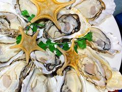 -千岛蚝高压锅生蚝·人参火锅(白云万达店)