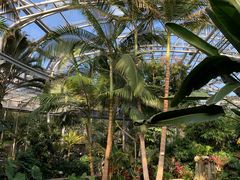 -北京植物园-展览温室