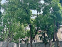 -上海孙中山故居纪念馆