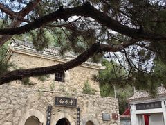 -白水寺森林公园