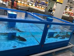 -麦德龙(浦东店)