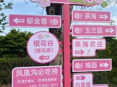 -凤凰沟景区