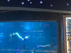 -石家庄海洋公园