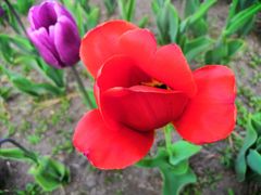 -长春公园(普阳街道)