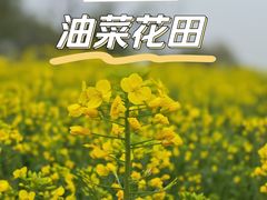 -径山花海