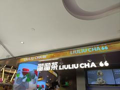-TD66高山铁皮石斛养生茶饮