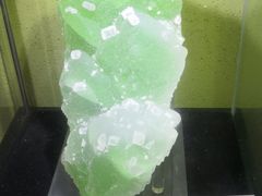 -中华赏石园