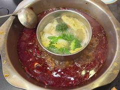 -金鼎雪山牦牛杂火锅(理县总店)