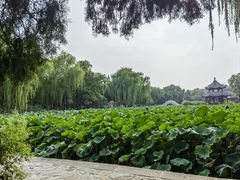 -莲池书院博物馆