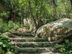 -大岭沟猕猴桃谷风景区