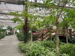 -南宫五洲植物乐园