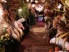 -The Grounds of Alexandria