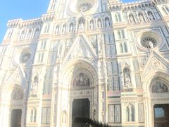 -圣母百花大教堂穹顶