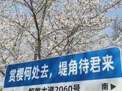 -堤角公园
