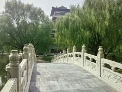 -毛遂公园