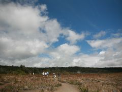 -夏威夷火山国家公园