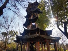 -西溪国家湿地公园