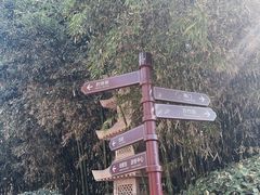 -趵突泉景区
