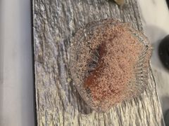 -月下料理(楷林IFC店)