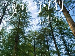 -四明湖