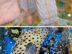 -四川小胡子海鲜(丁村万人海鲜广场店)