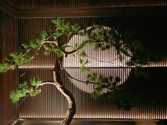 -大拙里·精致融合菜(沙湖桃源国际店)